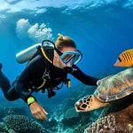 Home 9 세이셸 학술 연구소 및 협력 기회 - **Prompt:** A group of diverse marine scientists, both male and female, in full professional dive ge...